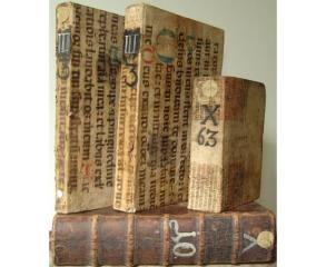 Samostanska knjižnica v frančiškanskem samostanu Nazarje  Klosterbibliothek im Franziskanerkloster Nazarje  Monastery library in Franciscan monastery Nazarje